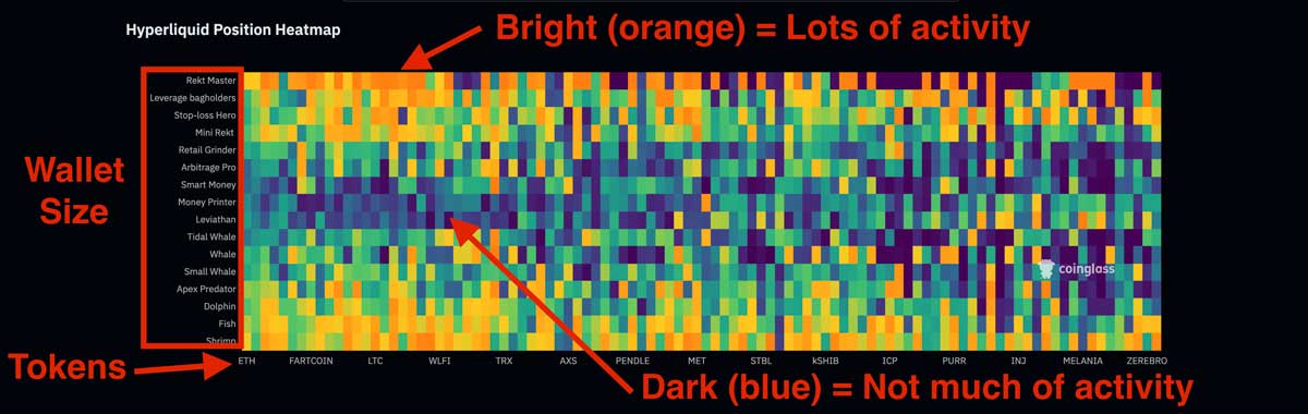 HyperLiquid Position Heatmap